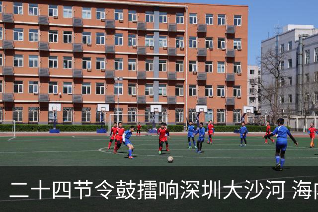 二十四节令鼓擂响深圳大沙河 海内外龙舟队竞渡