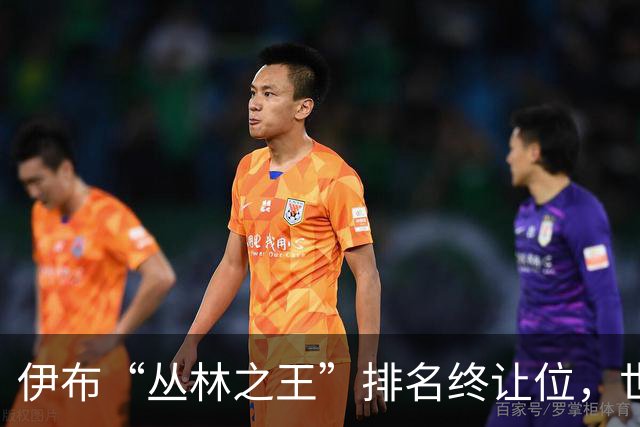 伊布“丛林之王”排名终让位，世界杯决赛前迎新第一