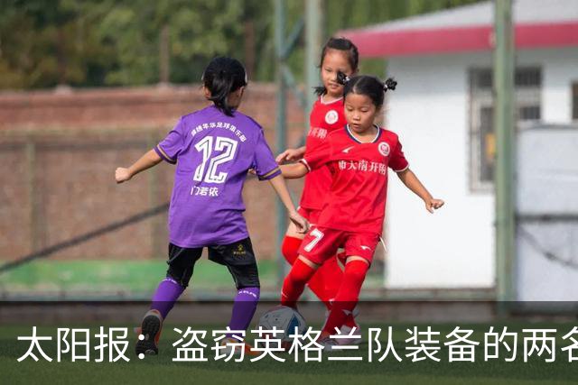 太阳报：盗窃英格兰队装备的两名司机最高面临7年监禁