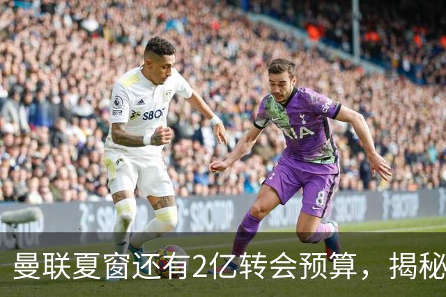 曼联夏窗还有2亿转会预算，揭秘拉爵买人价格上限！恐无新援参与集训