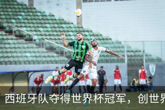 西班牙队夺得世界杯冠军，创世界杯冠军最少失球纪录，48队最终排名出炉