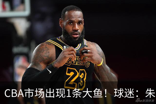 CBA市场出现1条大鱼！球迷：朱芳雨快下手
